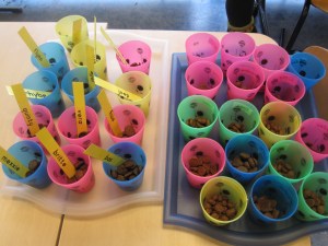 kruidnoten baking -59